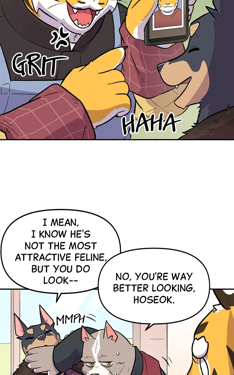 Read Mr. Tiger
