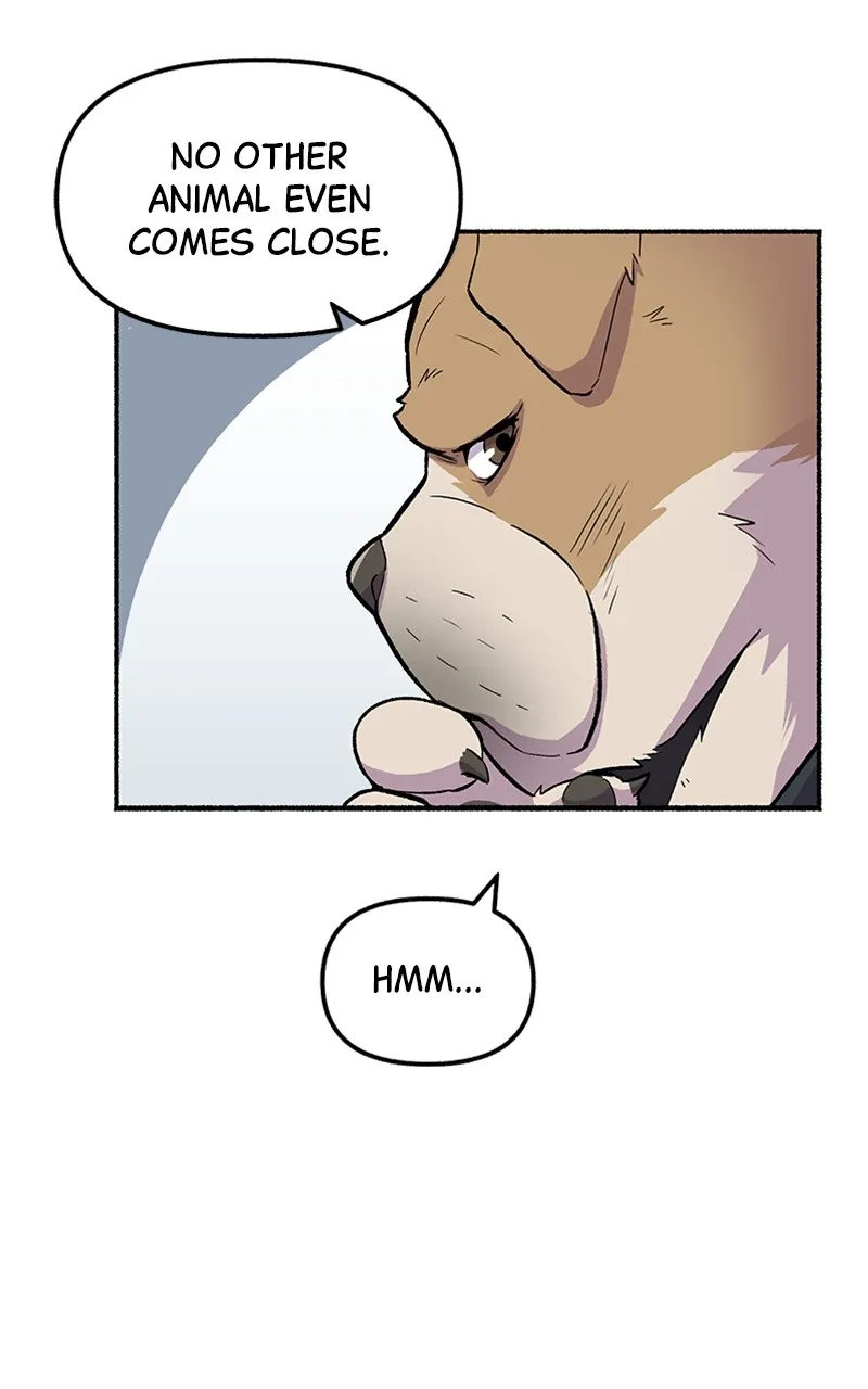 Read Mr. Tiger