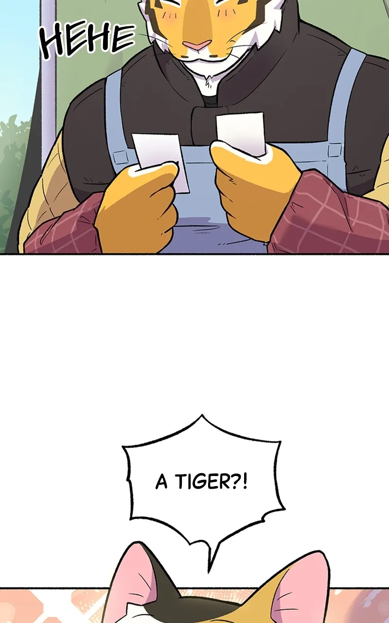 Read Mr. Tiger