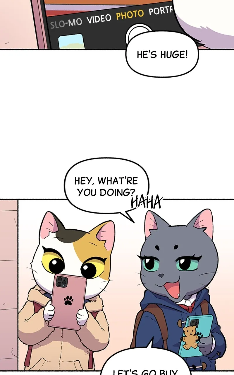 Read Mr. Tiger