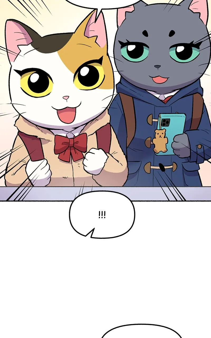 Read Mr. Tiger