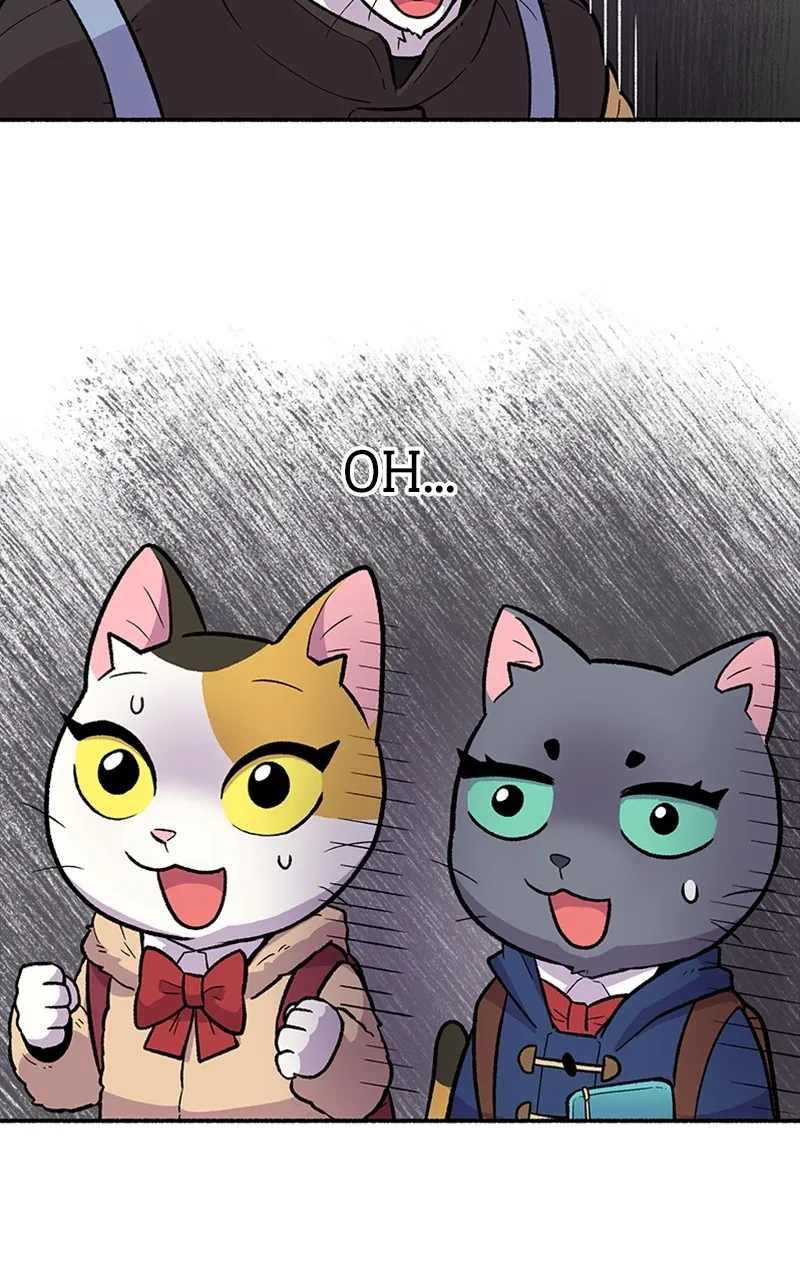 Read Mr. Tiger