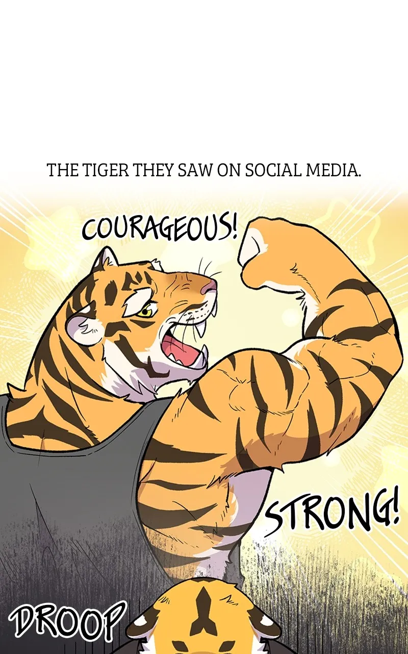 Read Mr. Tiger