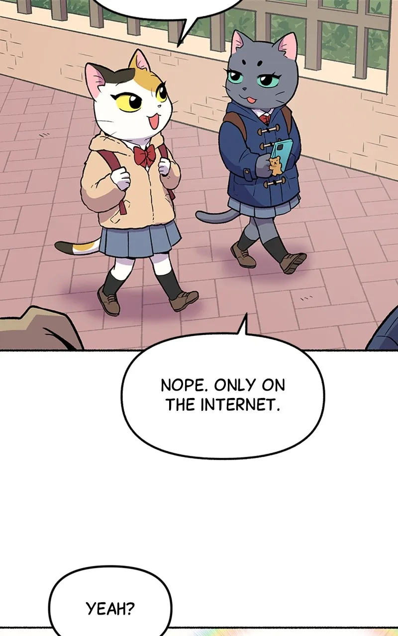 Read Mr. Tiger