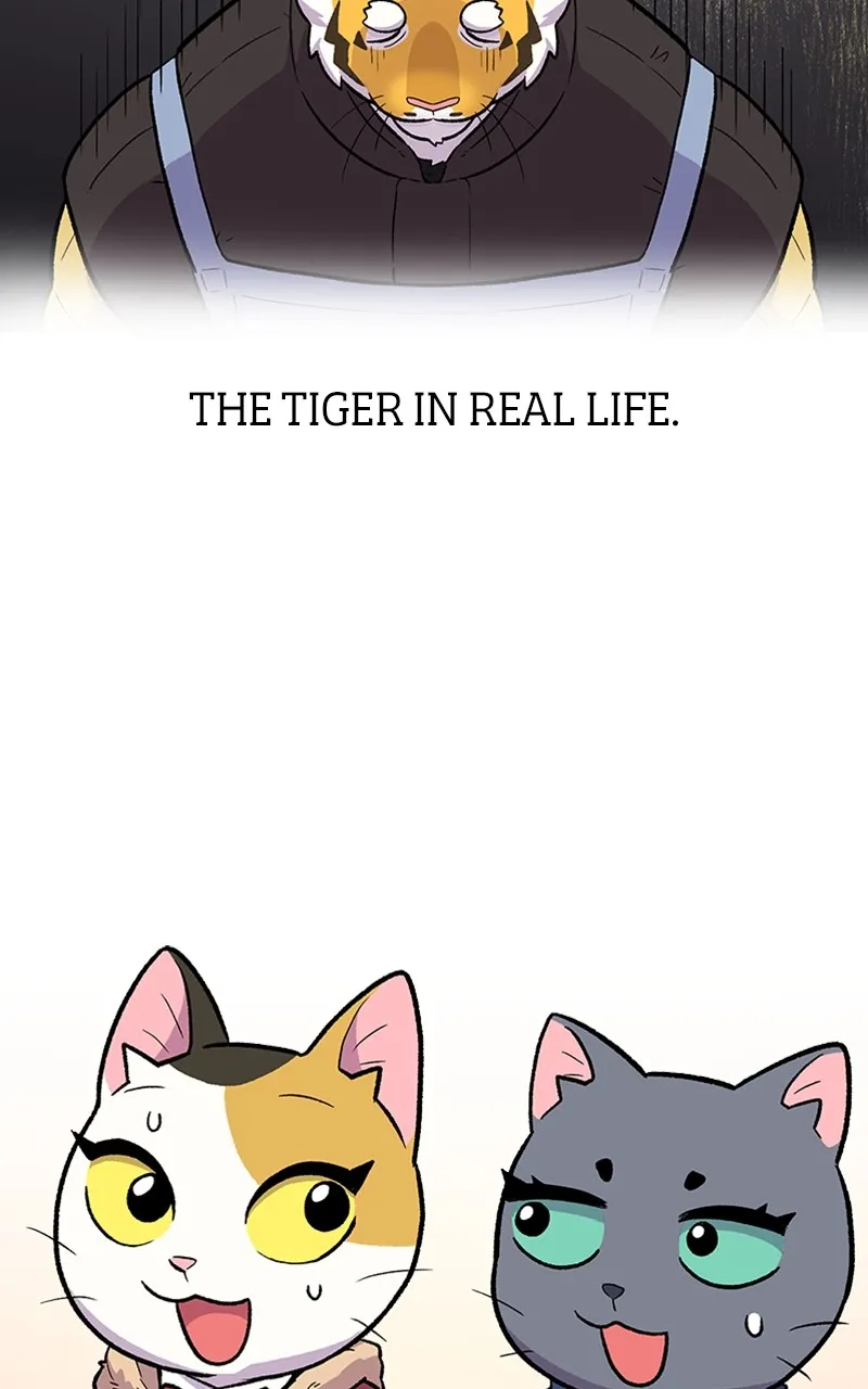 Read Mr. Tiger