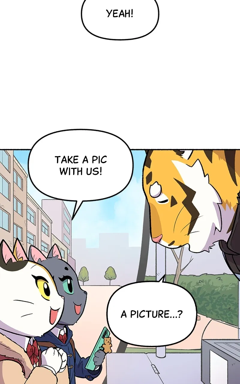 Read Mr. Tiger
