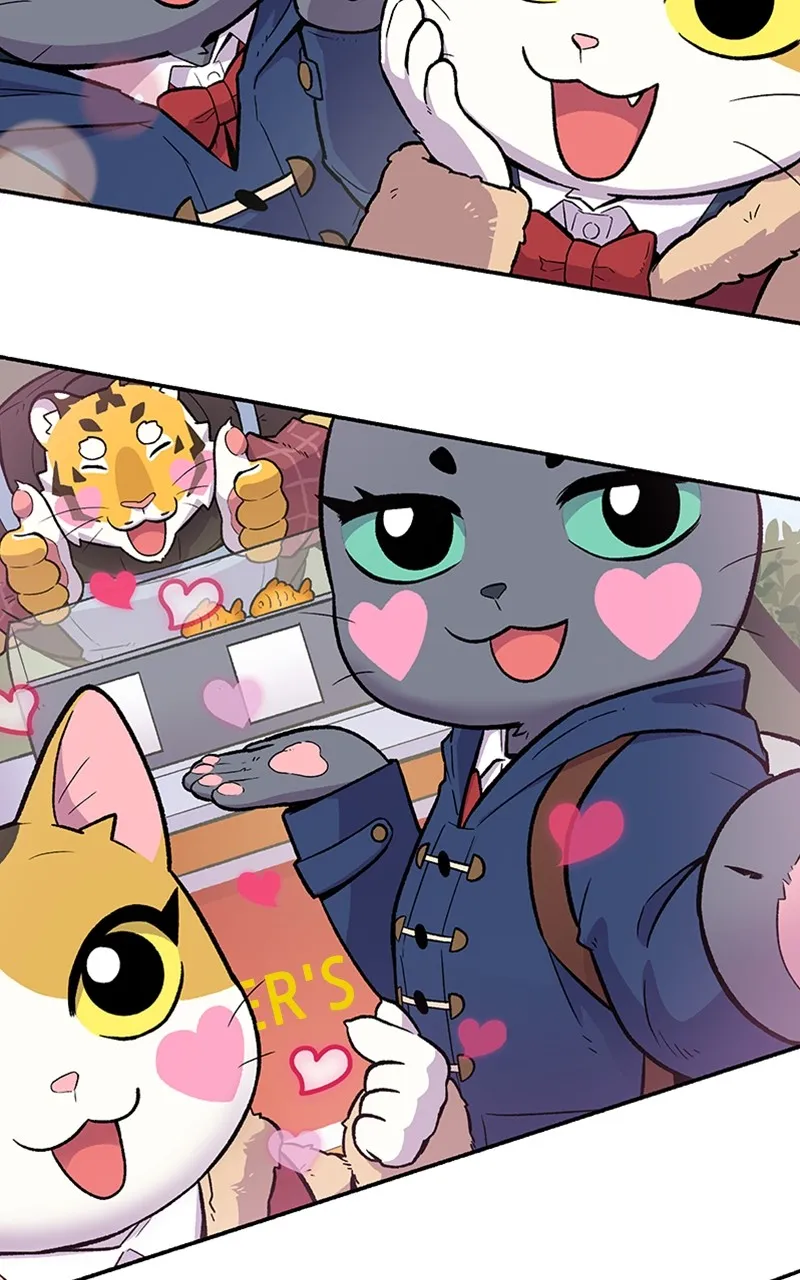 Read Mr. Tiger