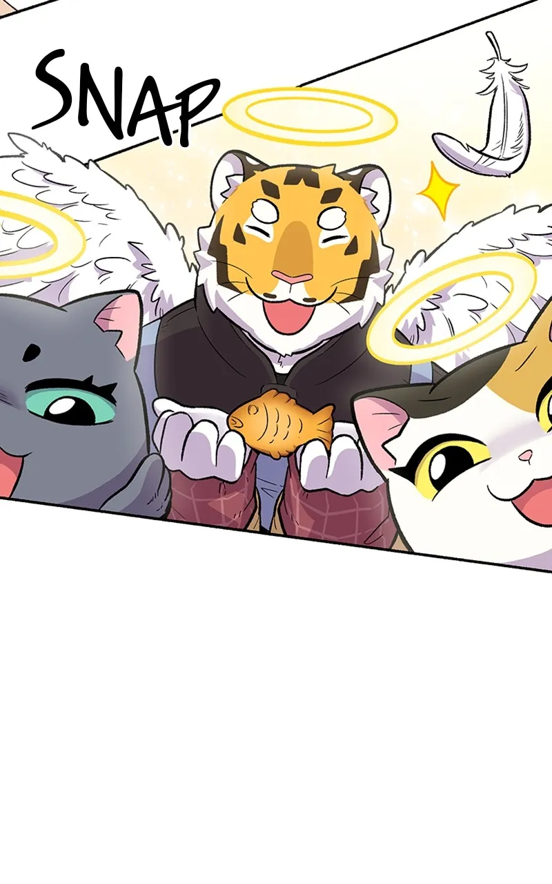 Read Mr. Tiger