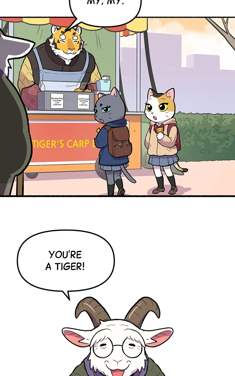 Read Mr. Tiger