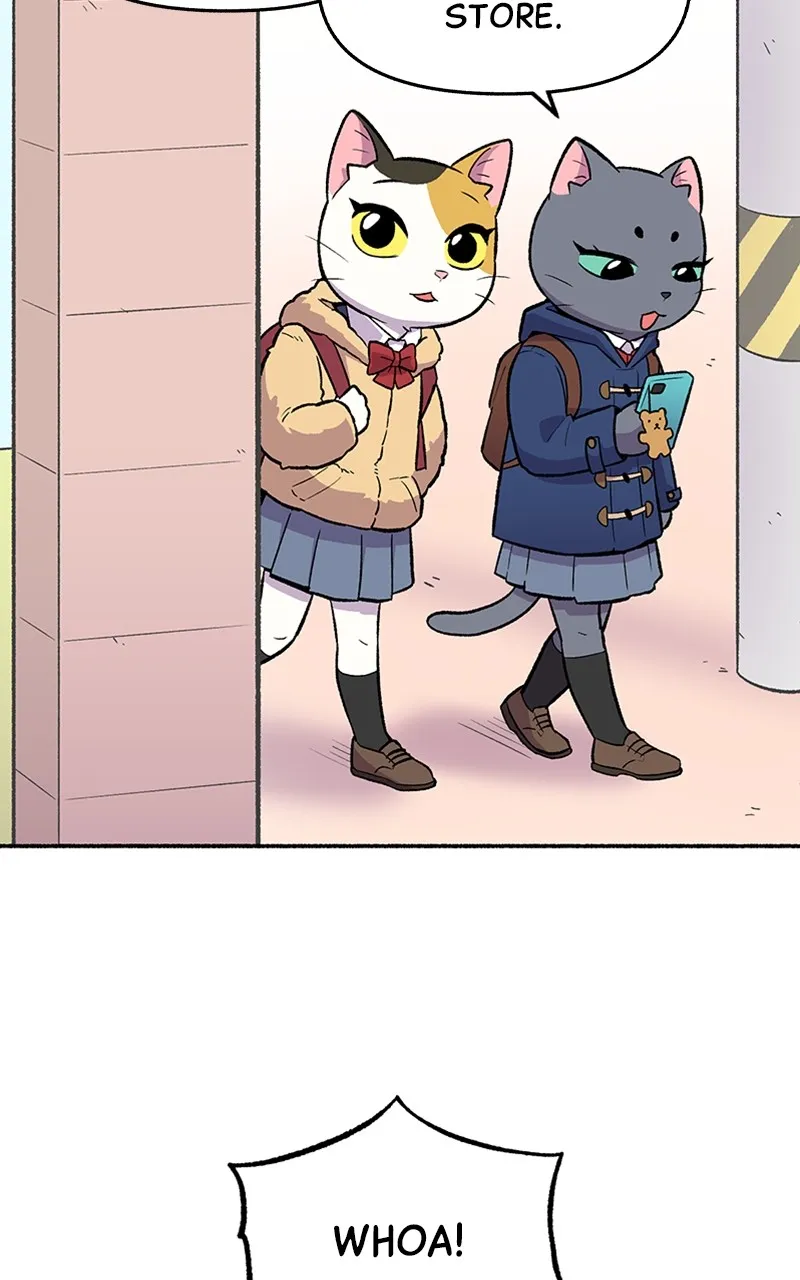 Read Mr. Tiger