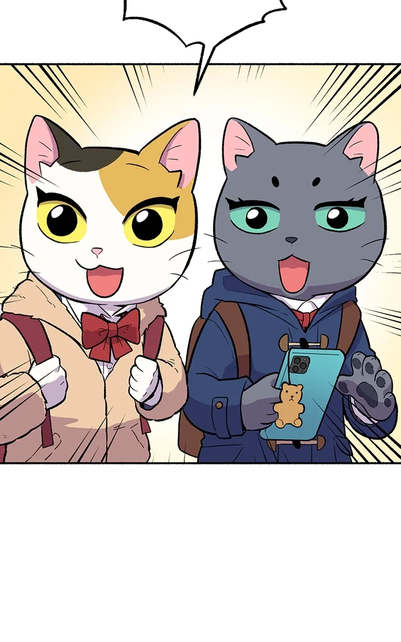 Read Mr. Tiger