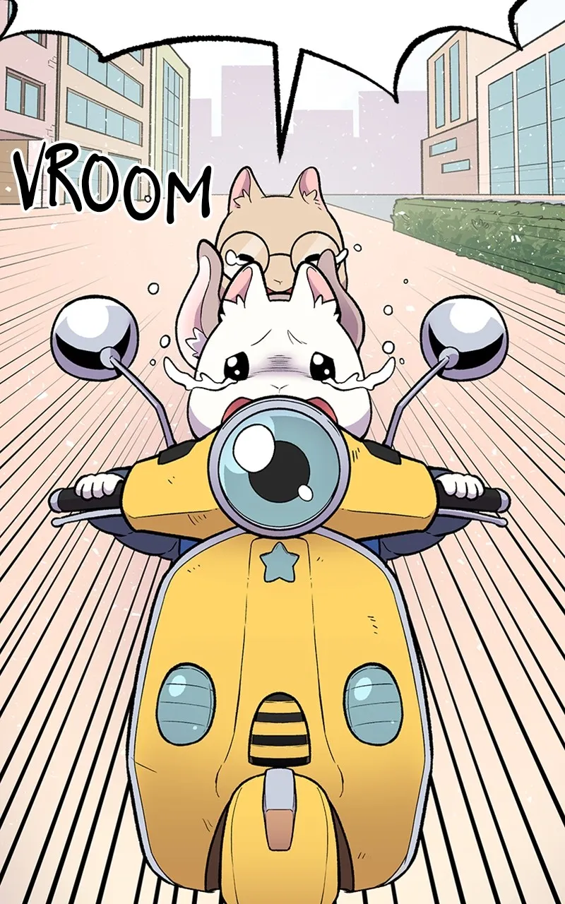 Read Mr. Tiger