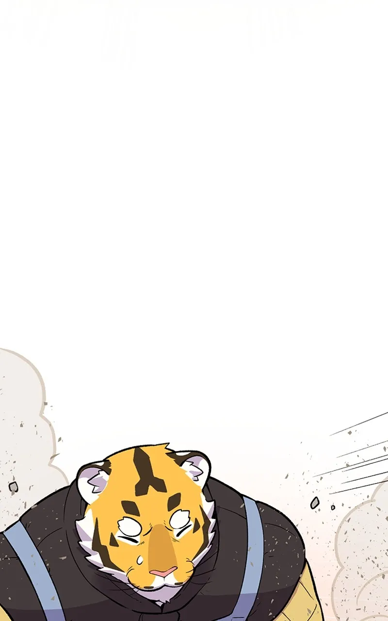 Read Mr. Tiger