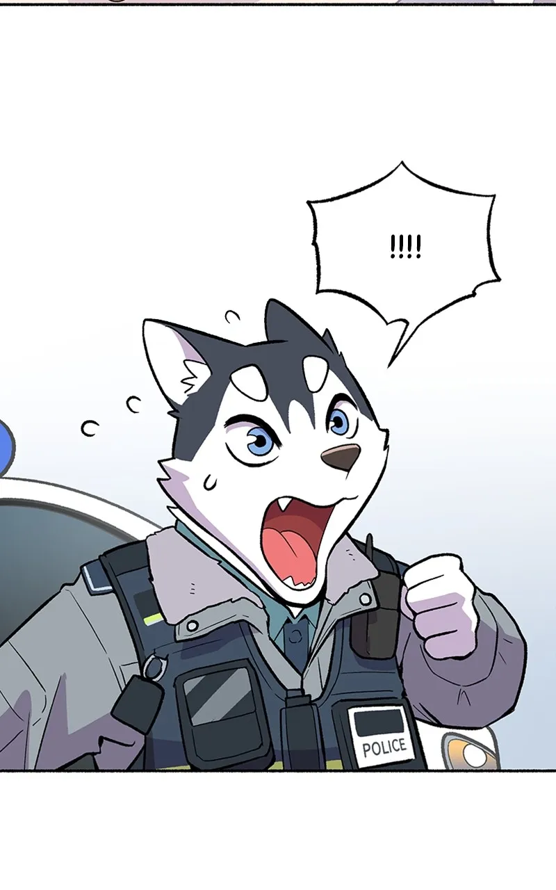 Read Mr. Tiger