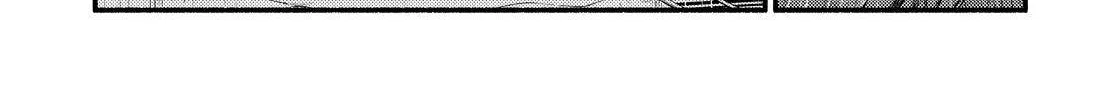Read Munou na Nana chapter 80 image 7 on Lezhin