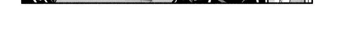 Read Munou na Nana chapter 81 image 5 on Lezhin