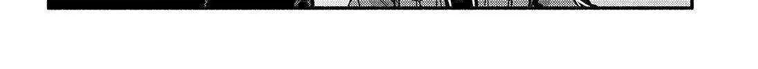 Read Munou na Nana chapter 86 image 62 on Lezhin