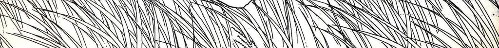 Read Musashi #9 chapter 12.4 image 15 on Lezhin