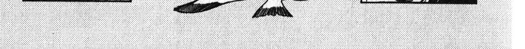Read Musashi #9 chapter 20.3 image 27 on Lezhin
