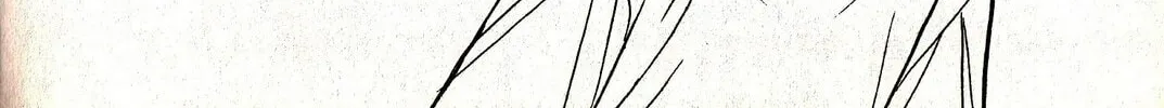 Read Musashi #9 chapter 21.2 image 61 on Lezhin