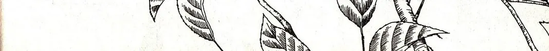 Read Musashi #9 chapter 21.3 image 7 on Lezhin