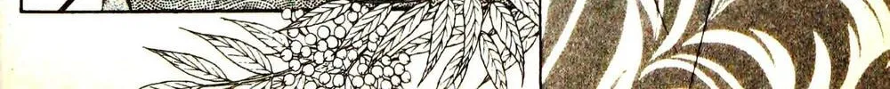 Read Musashi #9 chapter 24.4 image 15 on Lezhin
