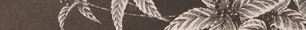 Read Musashi #9 chapter 25.1 image 223 on Lezhin