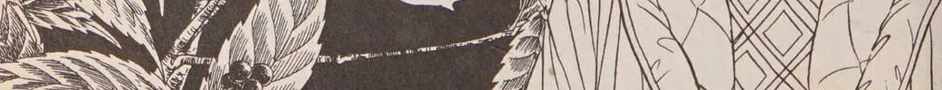 Read Musashi #9 chapter 25.1 image 55 on Lezhin
