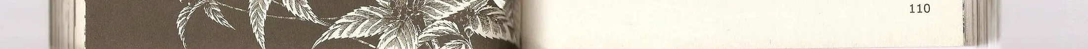 Read Musashi #9 chapter 25 image 111 on Lezhin