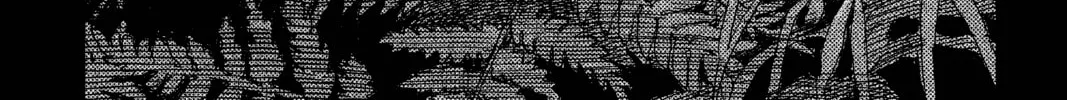 Read Mushishi chapter 10 image 1 on Lezhin