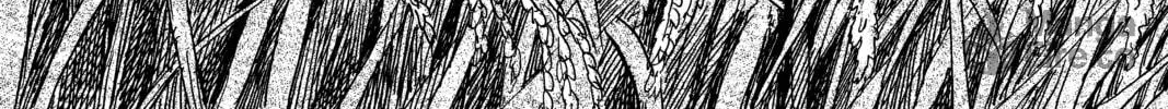 Read Mushishi chapter 13 image 71 on Lezhin