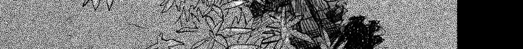 Read Mushishi chapter 14 image 3 on Lezhin