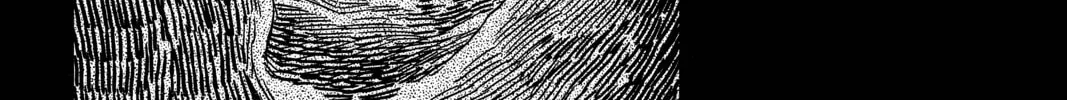 Read Mushishi chapter 16 image 67 on Lezhin