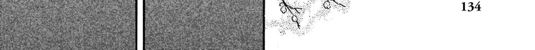 Read Mushishi chapter 18 image 85 on Lezhin