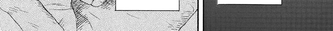 Read Mushishi chapter 20 image 81 on Lezhin