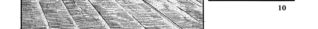 Read Mushishi chapter 21 image 13 on Lezhin