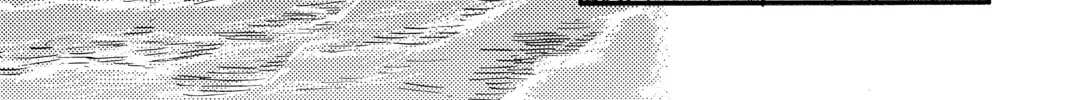 Read Mushishi chapter 23 image 91 on Lezhin