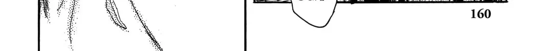 Read Mushishi chapter 24 image 7 on Lezhin