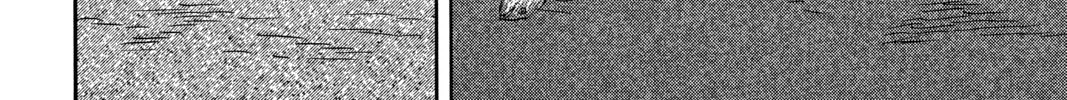 Read Mushishi chapter 27 image 61 on Lezhin