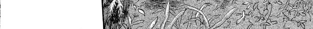 Read Mushishi chapter 3 image 45 on Lezhin