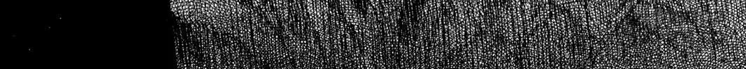 Read Mushishi chapter 33 image 83 on Lezhin