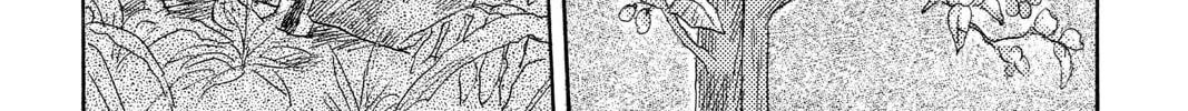 Read Mushishi chapter 34 image 13 on Lezhin