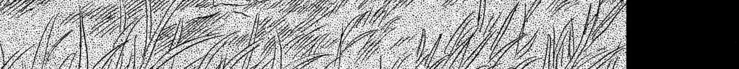 Read Mushishi chapter 35 image 55 on Lezhin