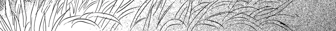Read Mushishi chapter 35 image 57 on Lezhin