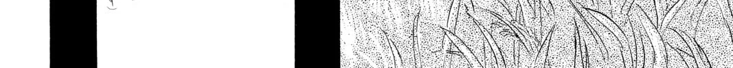 Read Mushishi chapter 36 image 87 on Lezhin