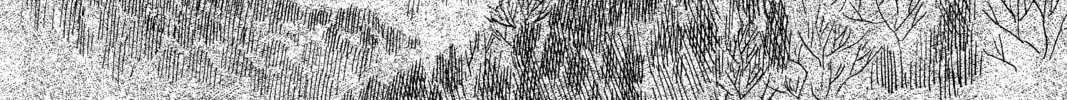 Read Mushishi chapter 37 image 61 on Lezhin