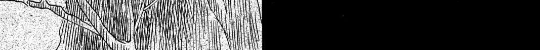 Read Mushishi chapter 39 image 141 on Lezhin