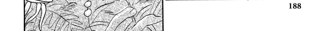 Read Mushishi chapter 45 image 3 on Lezhin