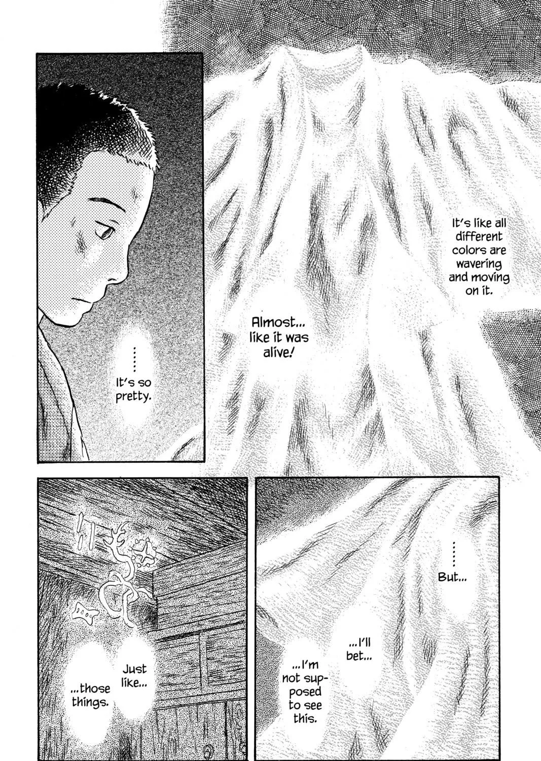 Read Mushishi chapter 46 image 16 on Lezhin