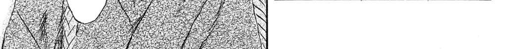 Read Mushishi chapter 48 image 97 on Lezhin